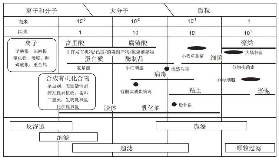 滤膜比较过程.png