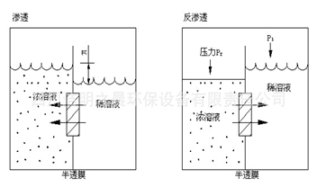 反渗透原理图