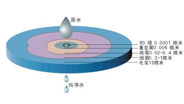 反渗透膜原理图