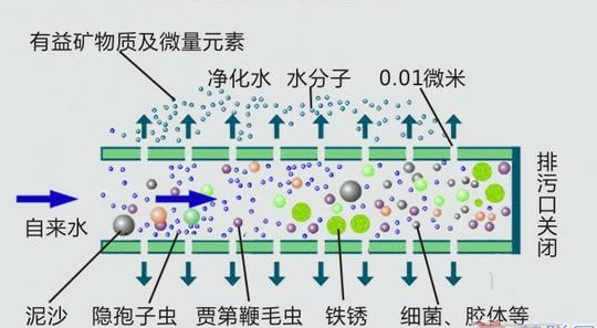 内压式超滤膜原理图片