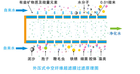 外压超滤膜